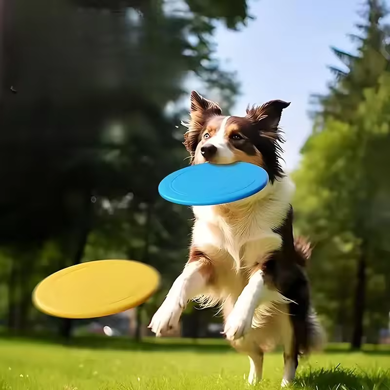 Weiches Hunde-Frisbee aus Silikon – Sicher, Bissfest & Spaßgarant