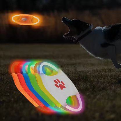 Wiederaufladbare LED-Frisbee für Hunde – Leuchtend, wasserdicht & interaktiv