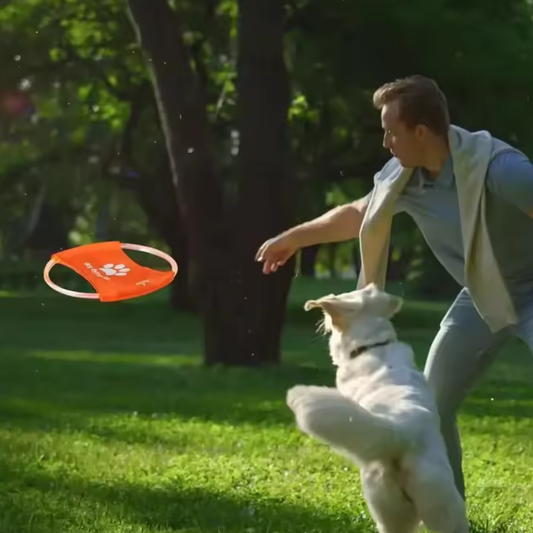 Wiederaufladbare LED-Frisbee für Hunde – Leuchtend, wasserdicht & interaktiv