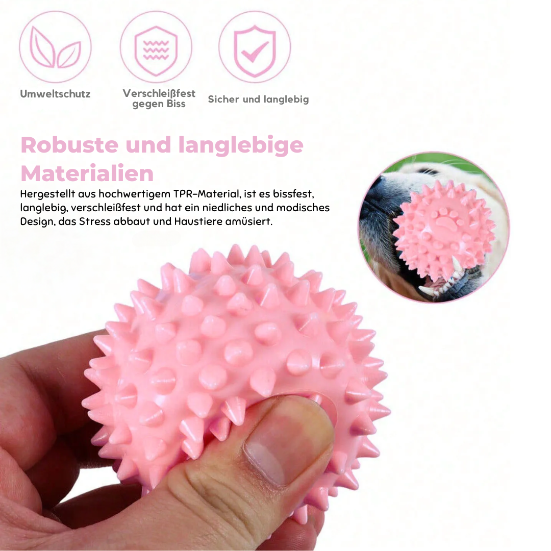 Zahnpflegeball für Hunde – Kaubar, Pflegend & Robust