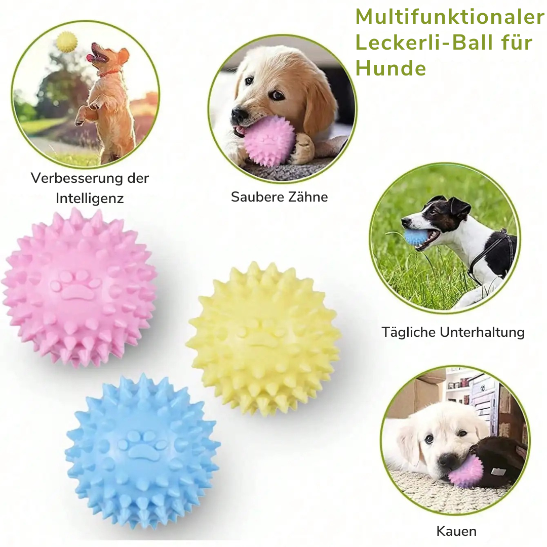 Zahnpflegeball für Hunde – Kaubar, Pflegend & Robust