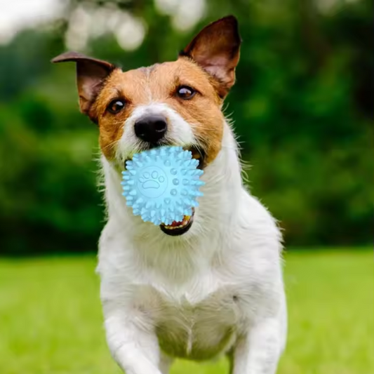 Zahnpflegeball für Hunde – Kaubar, Pflegend & Robust