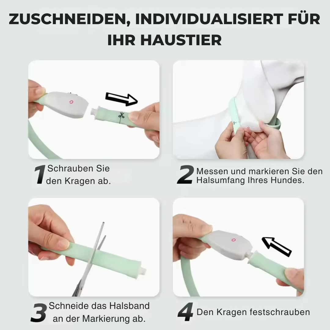 Zuschneidbares USB-LED-Hundehalsband – gut sichtbar, flexibel und wetterfest