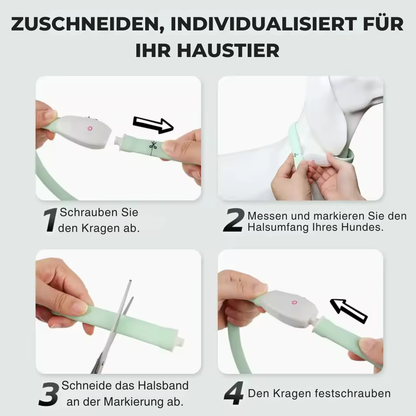 Zuschneidbares USB-LED-Hundehalsband – gut sichtbar, flexibel und wetterfest