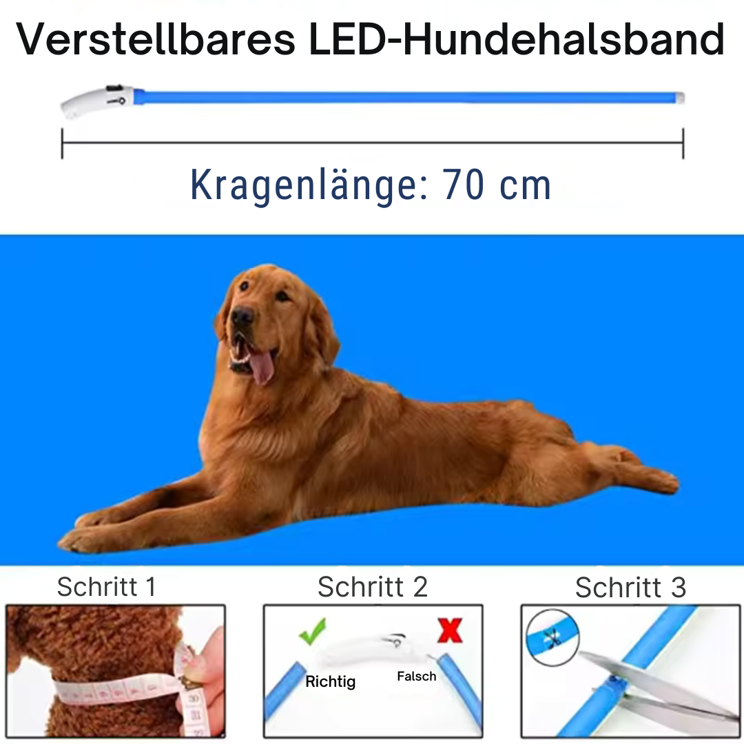 Zuschneidbares USB-LED-Hundehalsband – gut sichtbar, flexibel und wetterfest