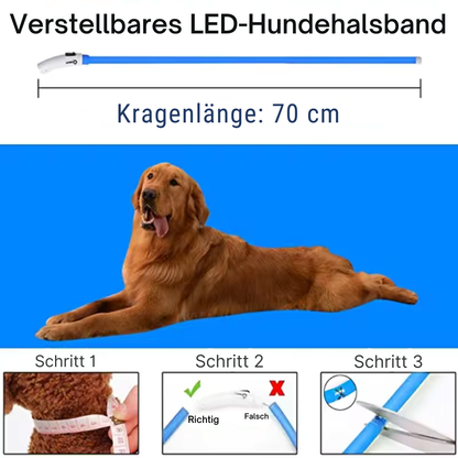 Zuschneidbares USB-LED-Hundehalsband – gut sichtbar, flexibel und wetterfest