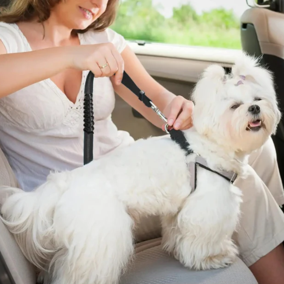 Katzenkratzmatte zum Schutz von Möbeln