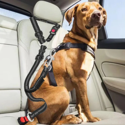 Katzenkratzmatte zum Schutz von Möbeln