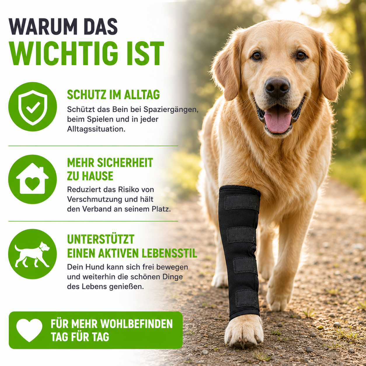 Gelenkstütze für Hunde stabilisierend & schützend
