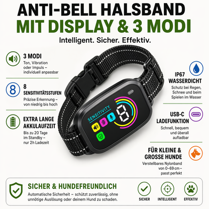 Hundetrainingshalsband mit Display, USB-C & 3 Trainingsmodi