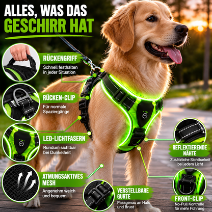LED Hundegeschirr für bessere Sichtbarkeit nachts