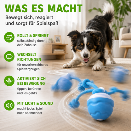 Interaktives Hunde-Spielzeug mit Bewegungssensor – USB-aufladbarer AutoKnoten mit Licht & Sound