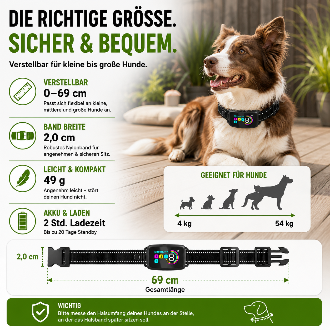 Hundetrainingshalsband mit Display, USB-C & 3 Trainingsmodi
