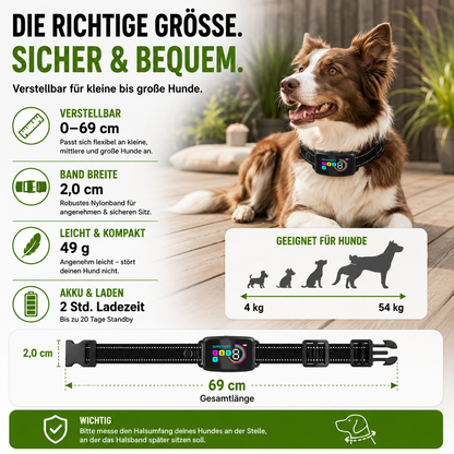 Hundetrainingshalsband mit Display, USB-C & 3 Trainingsmodi