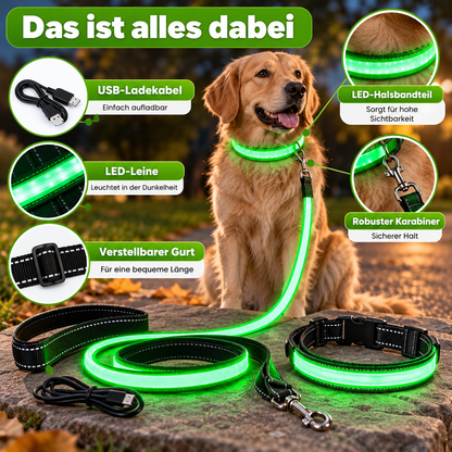 LED Hundeleine für Nacht & Spaziergänge