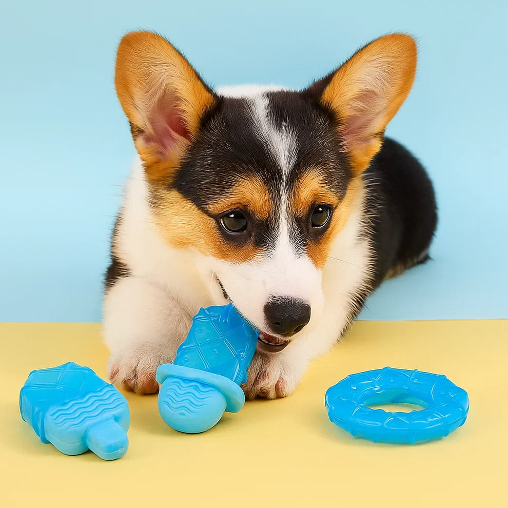 Kühlendes Hundespielzeug – gegen Hitze und Langeweile 🧊