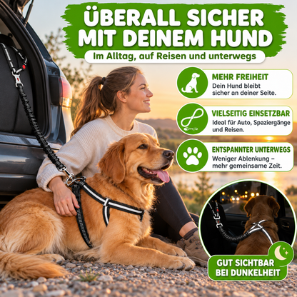 Reflektierendes 2-in-1 Hundegeschirr für Auto & Spaziergang