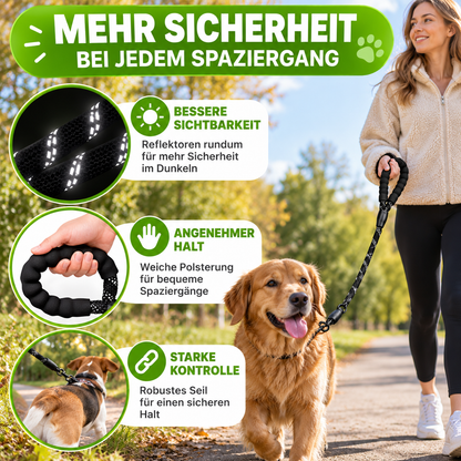Reflektierende Sicherheitsleine für Hunde
