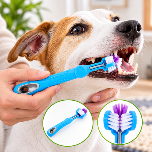 3-seitige Zahnbürste für Hunde & Katzen