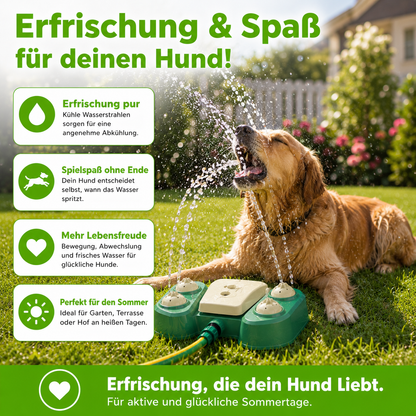 Multifunktionaler Hunde-Sprinkler mit Trinkbrunnen