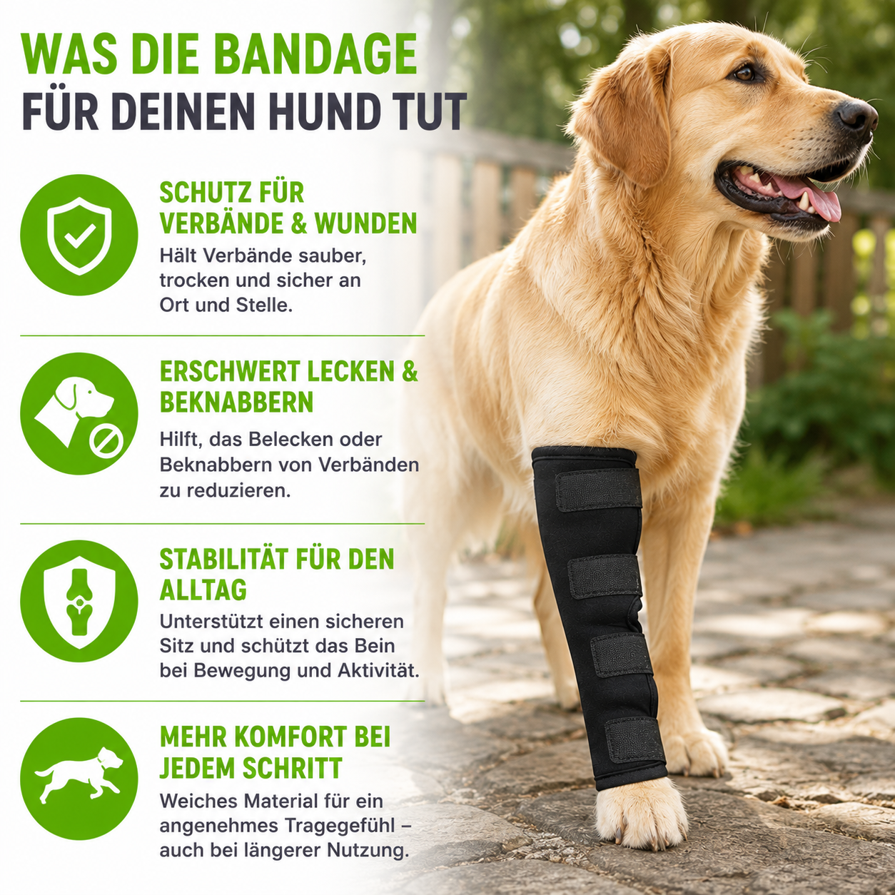 Gelenkstütze für Hunde stabilisierend & schützend