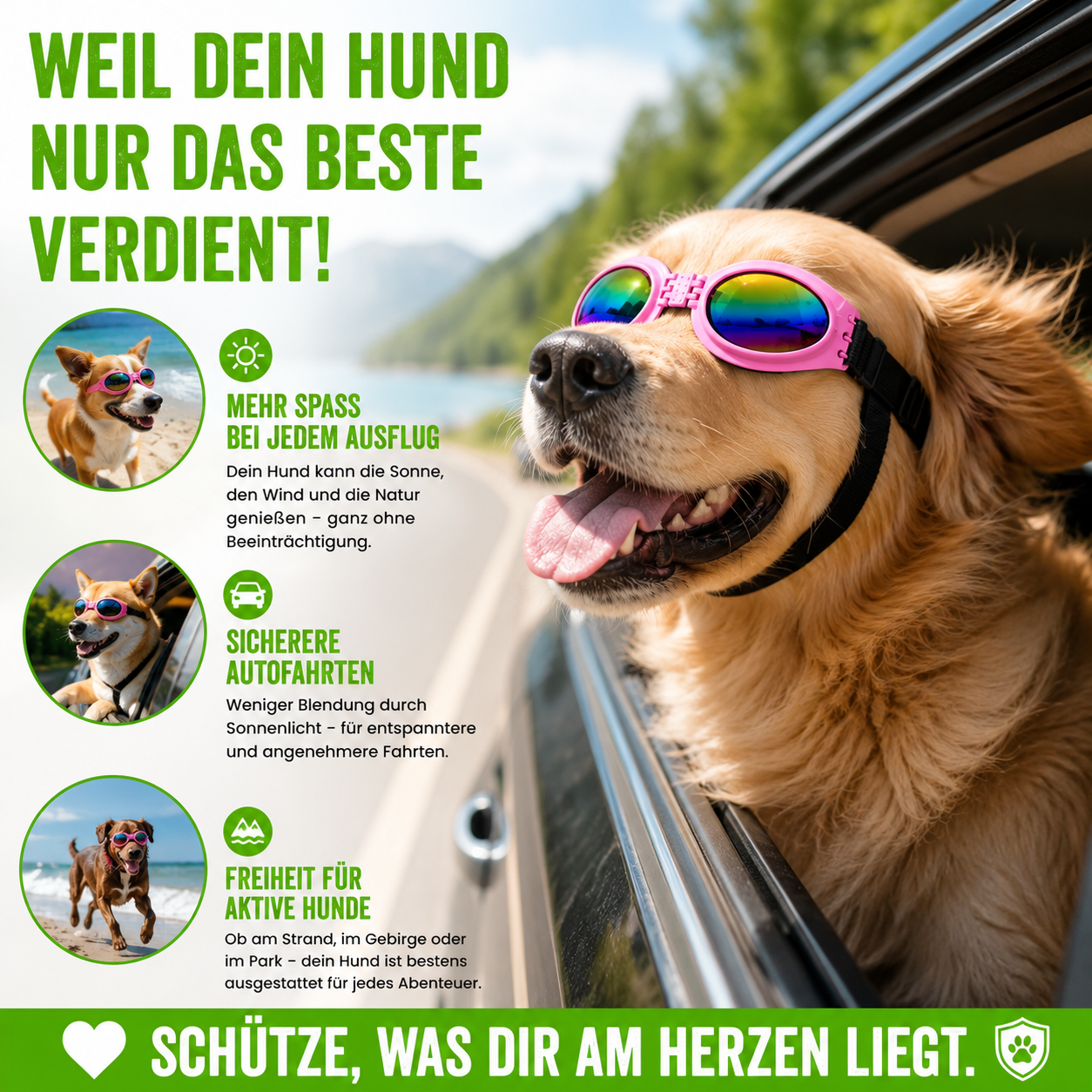 Faltbare Hundesonnenbrille mit UV-Schutz