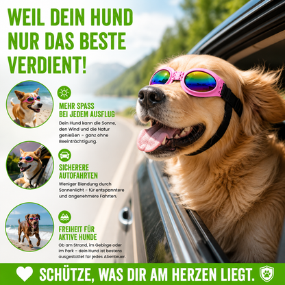 Faltbare Hundesonnenbrille mit UV-Schutz