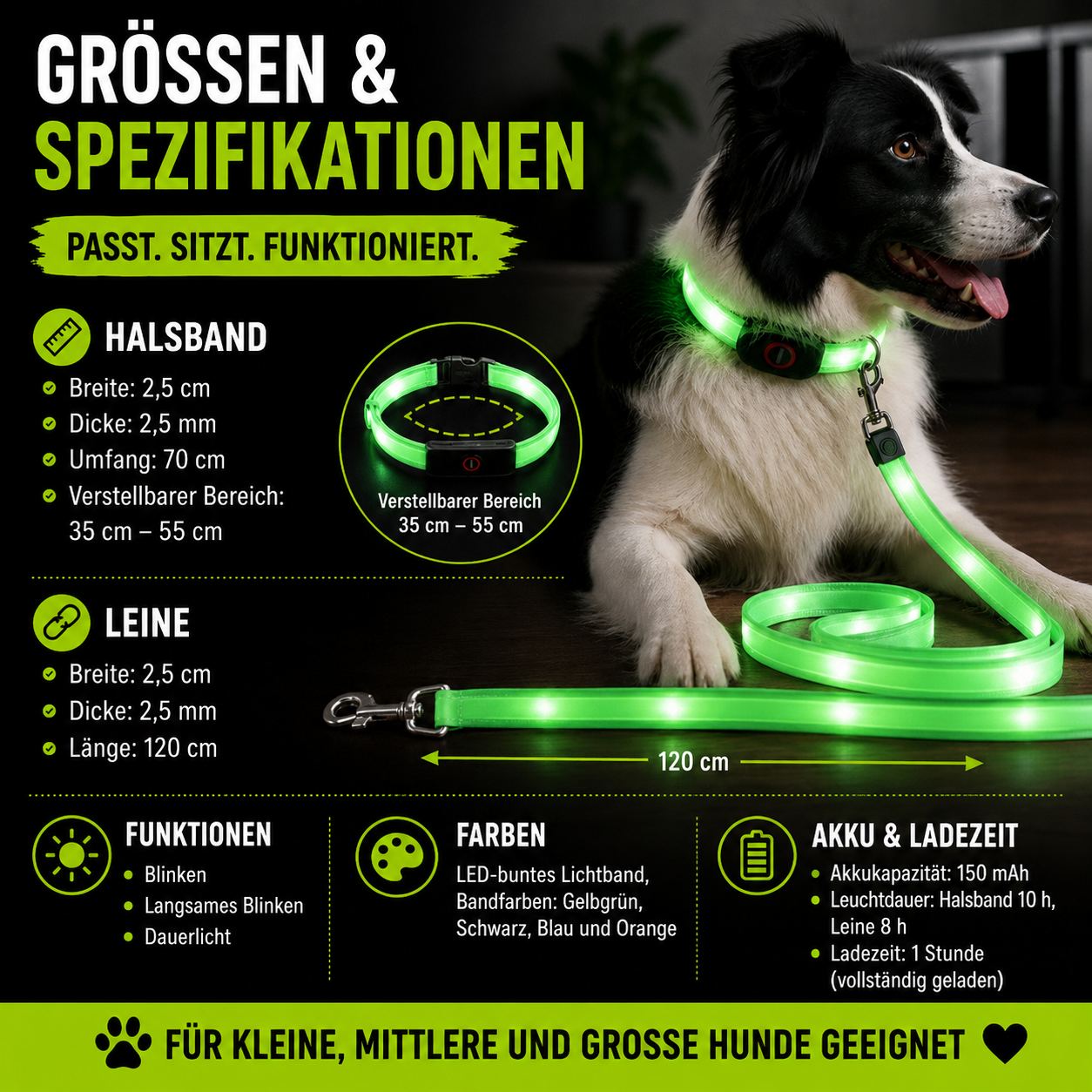 Leuchtendes LED Halsband & Leine für Hunde USB