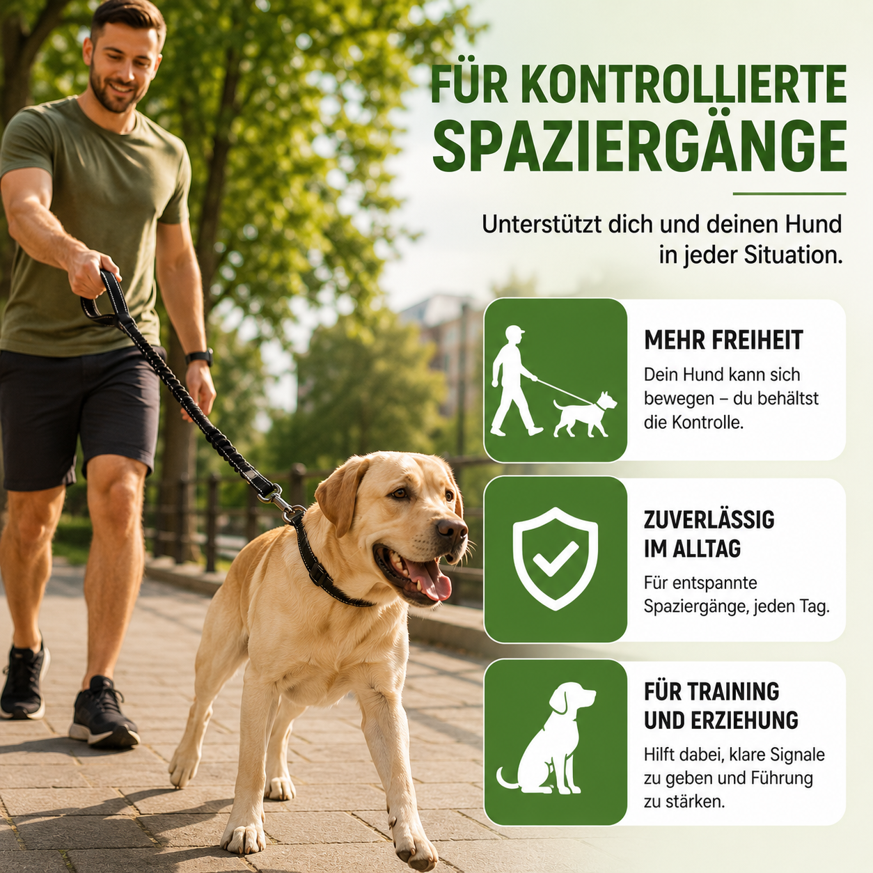 Stoßdämpfende Premium Hundeleine