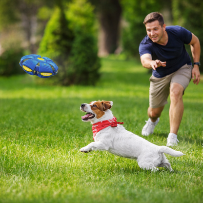 Hunde Frisbee Ball für Spiel & Training