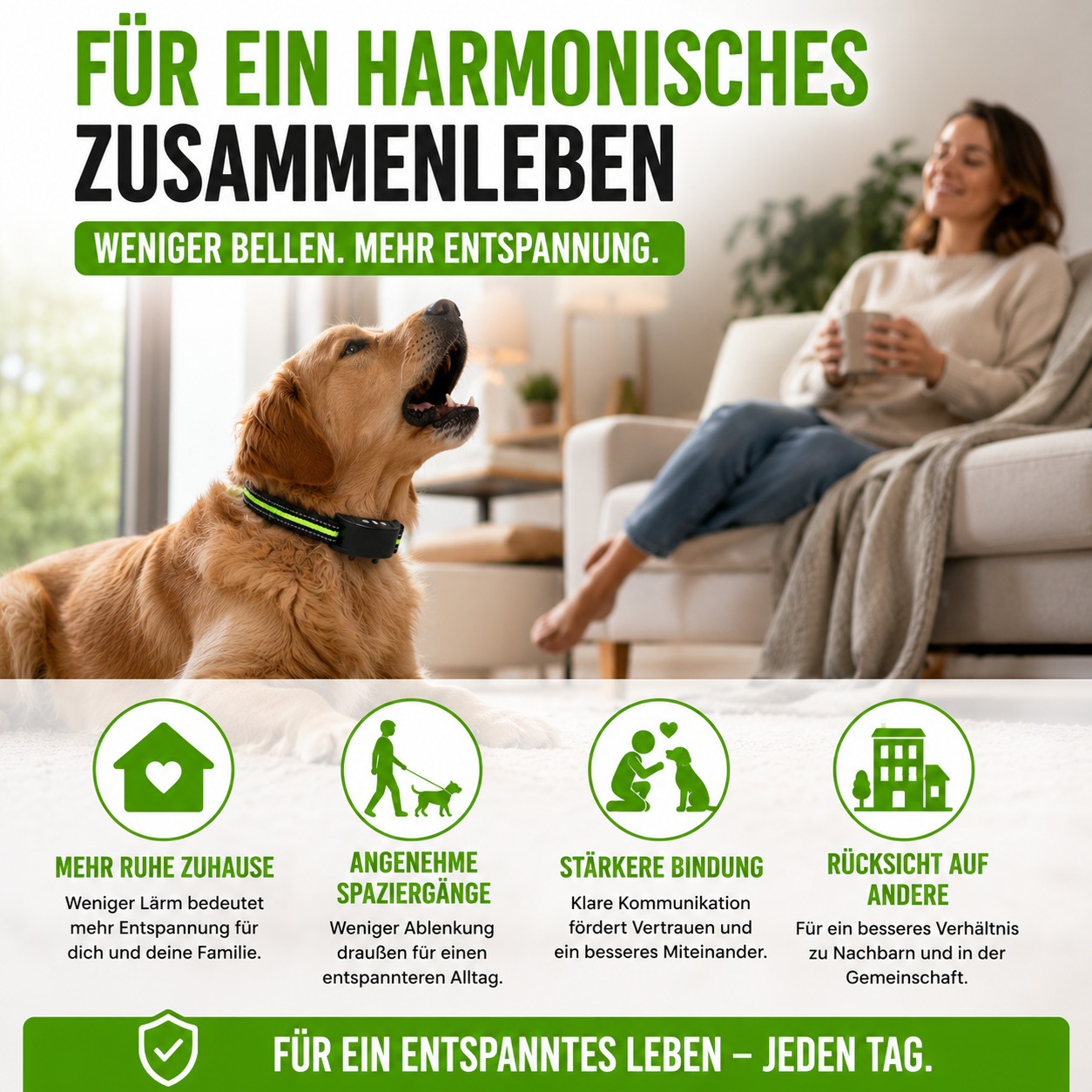 Automatisches Anti-Bell-Halsband mit Ton & Impuls