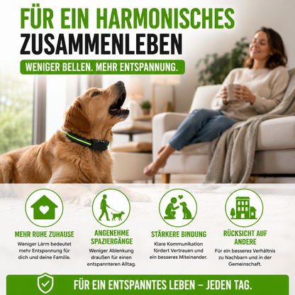 Automatisches Anti-Bell-Halsband mit Ton & Impuls