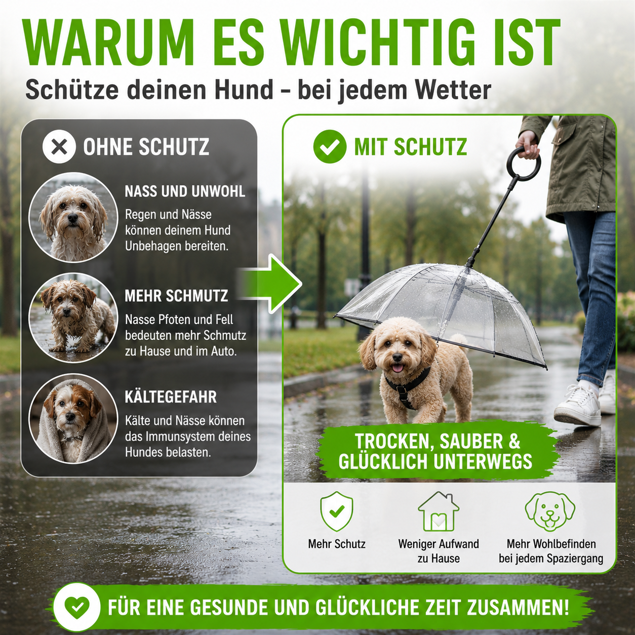 Transparenter Hundeschirm mit verstellbarer Leine