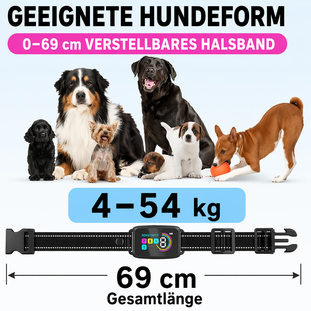 Hundetrainingshalsband mit Display, USB-C & 3 Trainingsmodi
