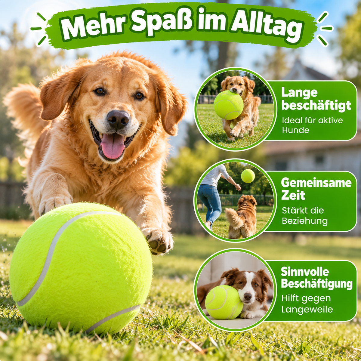Extra großer Tennisball für Hunde