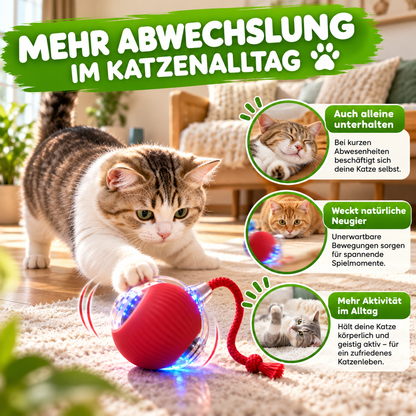 Interaktive, automatisch rollende Katzenmaus