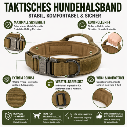 Taktisches Hundehalsband mit Metall-Schnalle & Griff