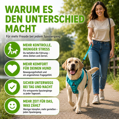Zugfrei Hundegeschirr & Leinen-Set