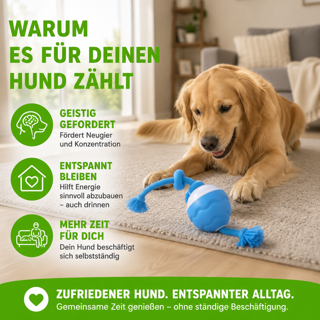 Interaktives Hunde-Spielzeug mit Bewegungssensor – USB-aufladbarer AutoKnoten mit Licht & Sound