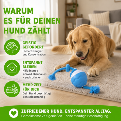 Interaktives Hunde-Spielzeug mit Bewegungssensor – USB-aufladbarer AutoKnoten mit Licht & Sound