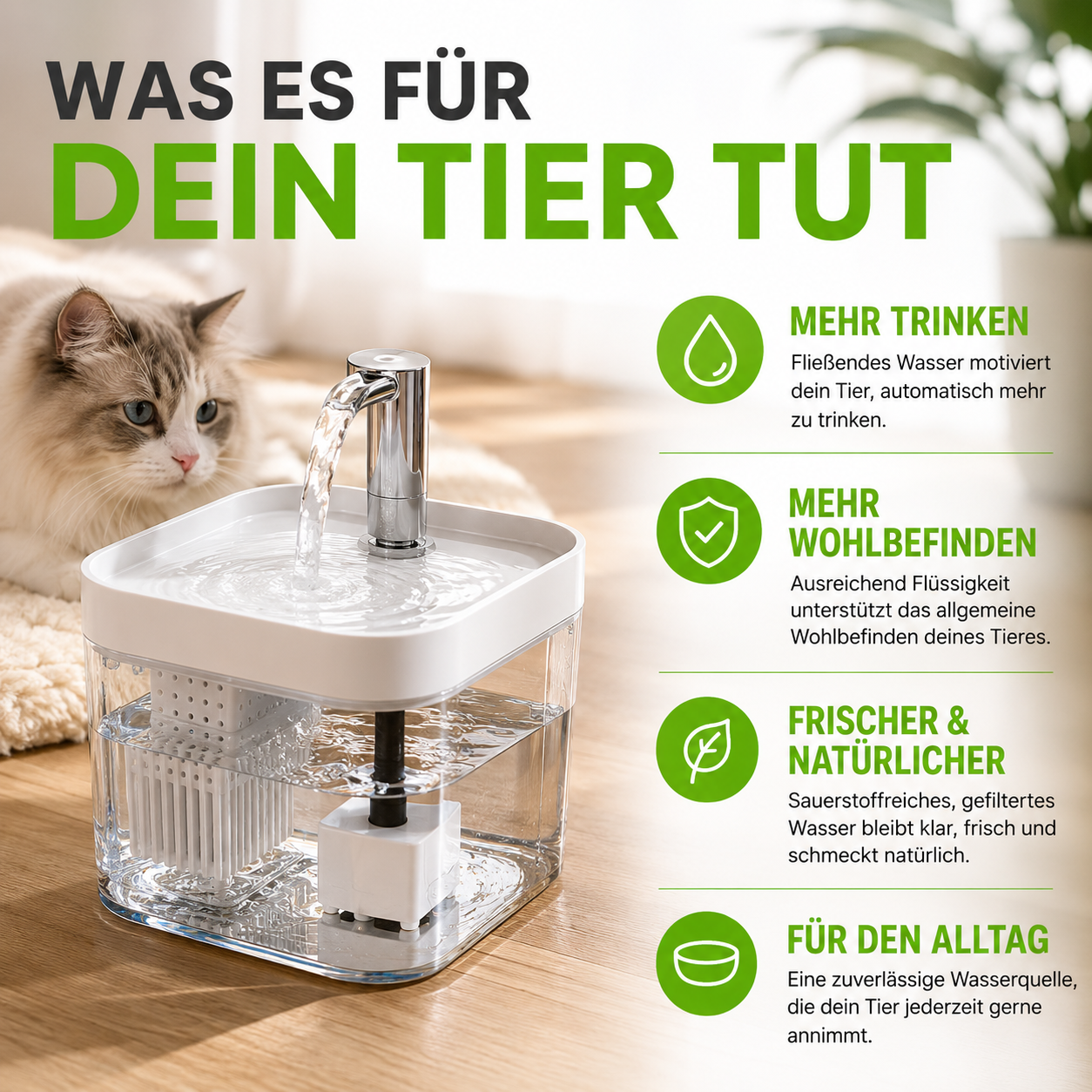 Leiser Katzen Trinkbrunnen mit Filter 1,5L