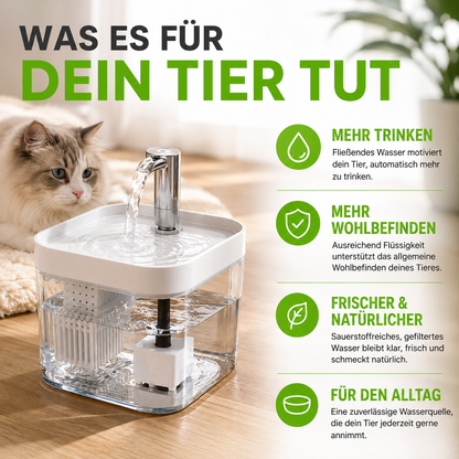 Leiser Katzen Trinkbrunnen mit Filter 1,5L