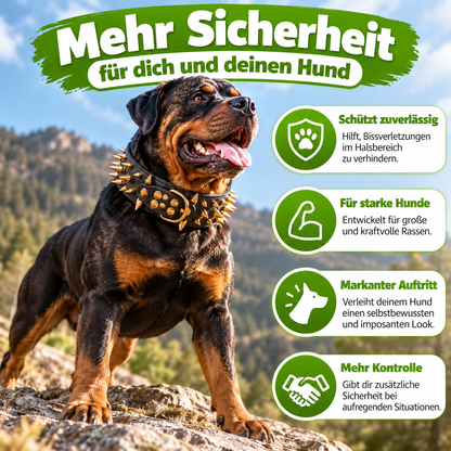 Hundehalsband mit Nieten für große Hunde