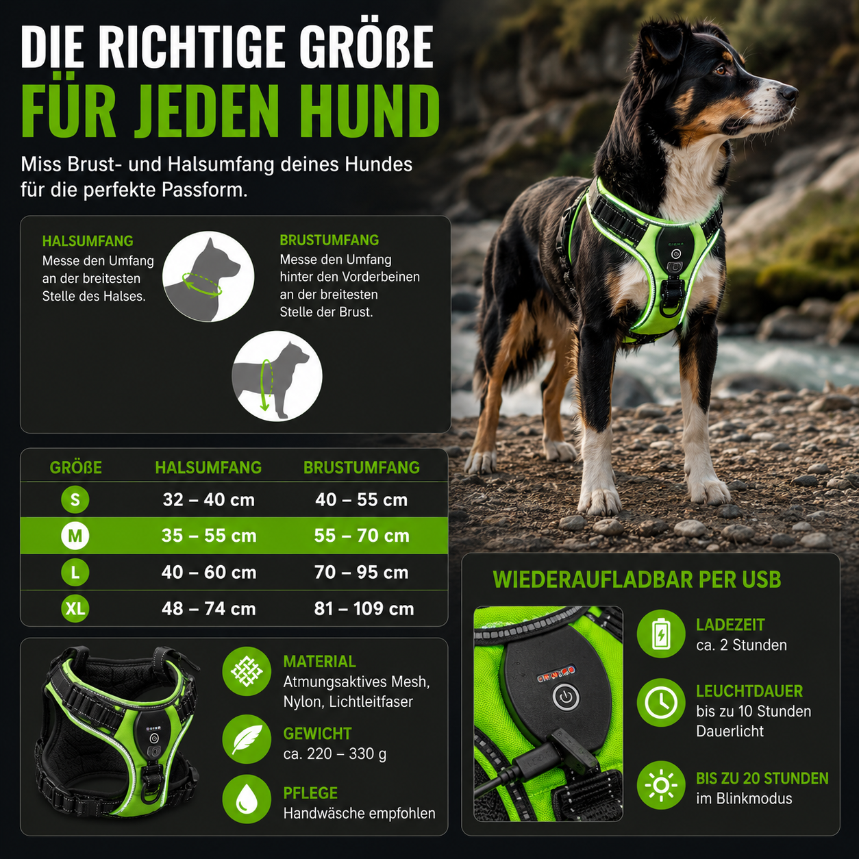 LED Hundegeschirr für bessere Sichtbarkeit nachts