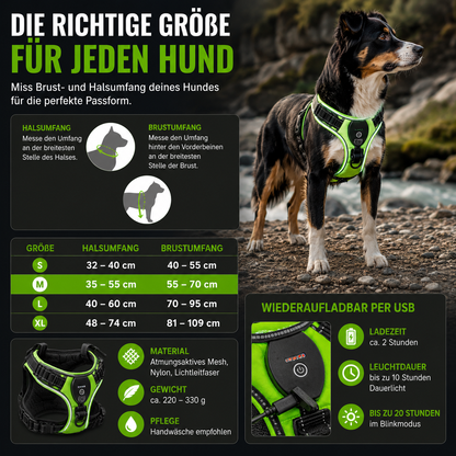 LED Hundegeschirr für bessere Sichtbarkeit nachts