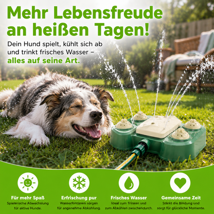 Multifunktionaler Hunde-Sprinkler mit Trinkbrunnen
