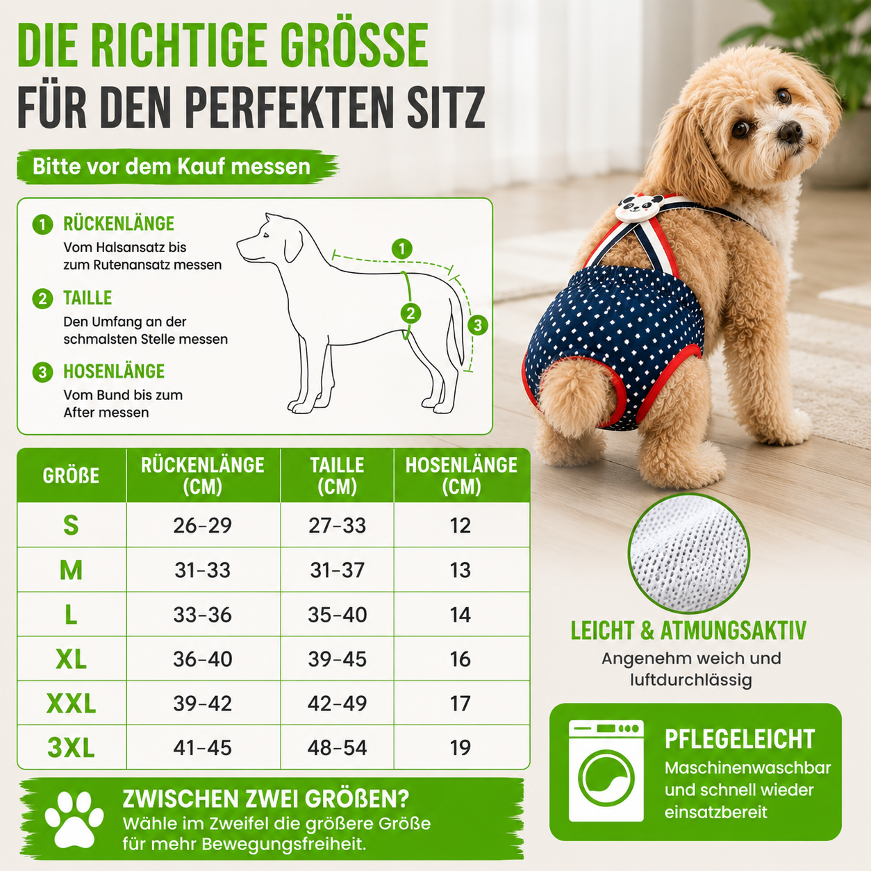 Hygieneshorts für Hunde waschbar & bequem