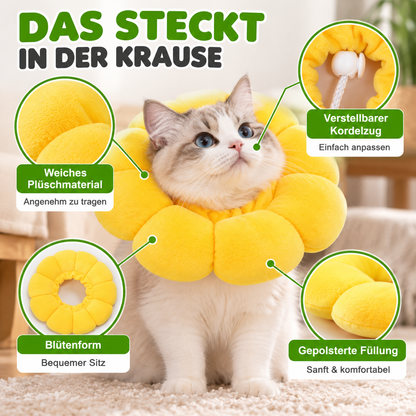 Weiche Sonnenblumen Schutzkrause für Katzen