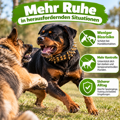 Hundehalsband mit Nieten für große Hunde