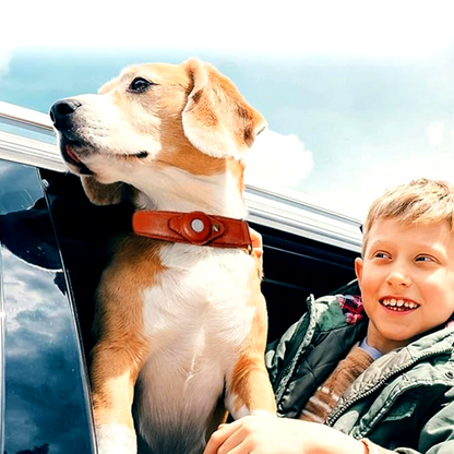 Echtes Lederhalsband mit Airtag-Halter für Hunde